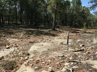 Looking S, toward the park’s South Entrance Road.