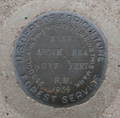 U.S. Forest Service Bench Mark Disk 5217