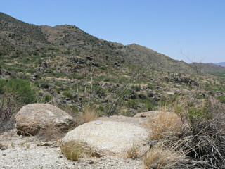 Looking SW toward the base of Kitt Peak.