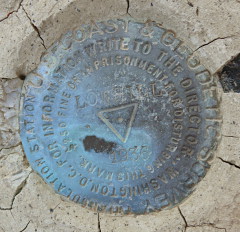 NGS Triangulation Station Disk LOW HILL