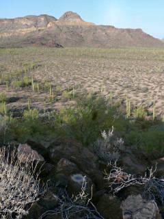 Looking NE toward the Diablo Mountains.