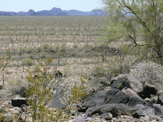 Looking SE from the edge of the hill toward our car in the distance!