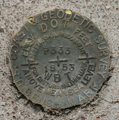 NGS Bench Mark Disk P 333