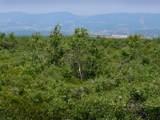 View of the valley from Part 4.