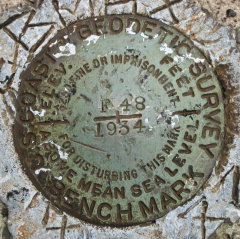 NGS Bench Mark Disk F 48