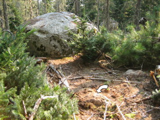 Looking S toward the huge boulder mentioned in the description. Mark indicated.