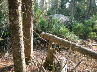 This is the view we had of the huge boulder when approaching the station coordinates.