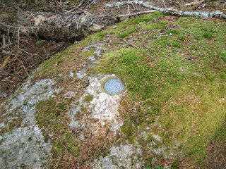 Eyelevel view of the disk and boulder.