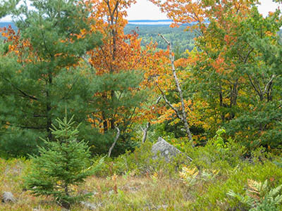 Fall is coming soon.