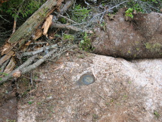 This RM was buried beneath several inches of moss.