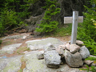 Looking W toward RM 2 from the summit sign near the station.