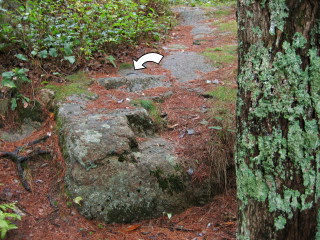 View of the rock ledge from beside the dam. The mark was concealed well!