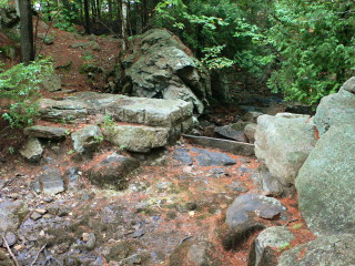 Looking NW from the Bubble Pond outlet toward the stonework dam. The 'trail' we took downhill to the dam is visible in the background.