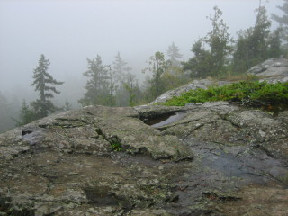 There were no views today! At least the trees were somewhat colorful in the fog.