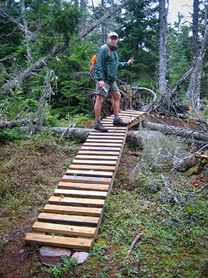 One of the beautiful wooden bridges