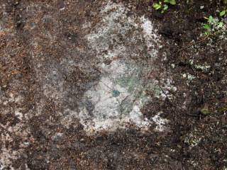 Eyelevel view of the bolt set in rock outcropping. It took a lot of work to get to this point!