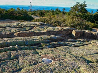 Looking north, toward Cadillac North Ridge Trail