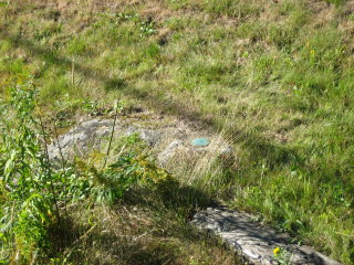 Eyelevel view of the disk set into the rock outcrop