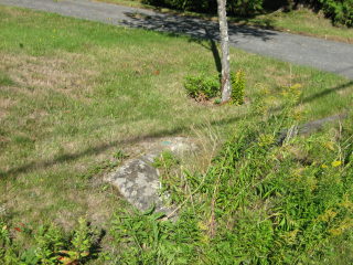 The outcrop is flush with the level of the ground.