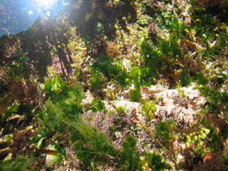 Early morning sunlight streams into the cave