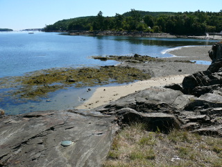 Looking S along the shoreline from K 10.