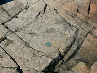 Eyelevel view of the disk set in the rocky ledge.