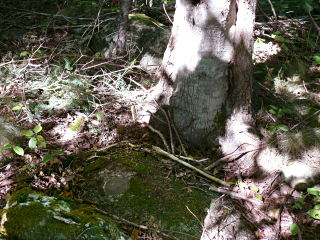 Eyelevel view of disk in rock outcrop.