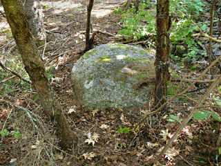 An eyelevel view of the disk set into the boulder. This is the view we had when approaching the disk from the gravel road.