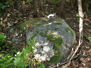 The entire boulder viewed from within the woods, mark indicated.