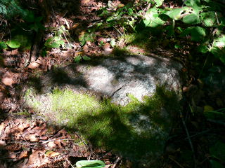 Eyelevel view of the bolt set into the rock. It’s a jungle in here!