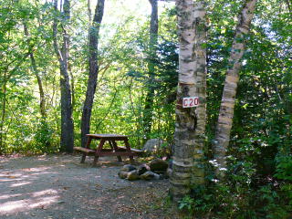 A view of campsite C20 from the road. The bolt is in the woods to the right, just a few feet from the stone fire ring.