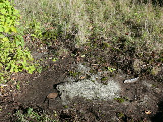 View of the boulder; note how deeply the mark was buried.