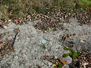 Eyelevel view of the RM disk set into the boulder.