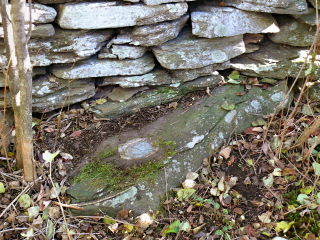 Eyelevel view of the disk, set into a small boulder underneath the rock wall.