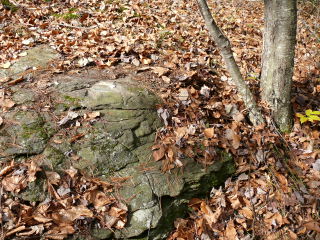 Eyelevel view of the disk on the rock outcrop.