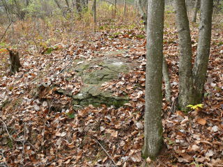 A view of the outcrop from a point halfway between the station and RM1.