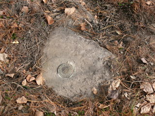 Eyelevel view of the disk on the rock outcrop.