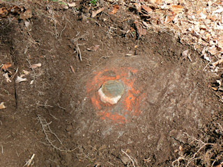 Eyelevel view of the disk in rock outcrop.