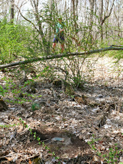 Looking W toward the station, where Rich stands