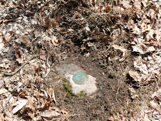 Eyelevel view of the reference mark disk on the outcrop