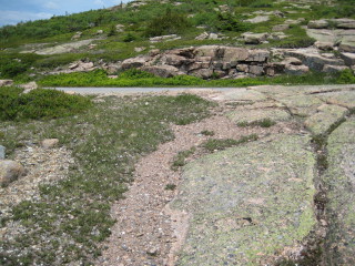 Looking N toward the road to Cadillac’s summit.