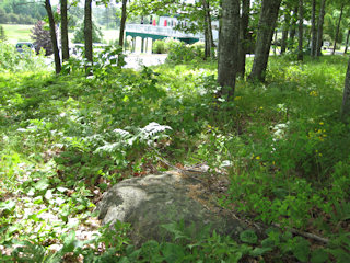 Looking toward the Kebo clubhouse