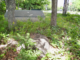 Looking WNW toward the intersection of Cromwell Harbor Road and Eagle Lake Road.