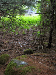 Looking NE toward Jordan Pond House