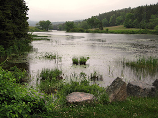 Rainy view at the southern end of Long Pond