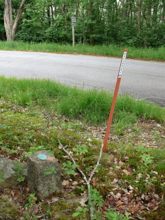 Looking SW across Otter Cliff Road.