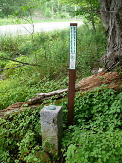 Looking WNW toward Otter Cliff Road.