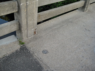 Eyelevel view of the disk set into the sidewalk.