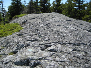 Looking S toward the station at the top of the knoll.