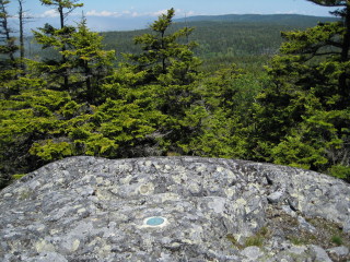 Looking seaward from the edge of the rock.